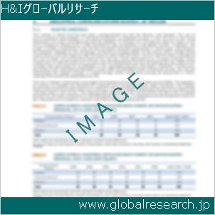 グローバルリサーチ調査レポートのイメージ